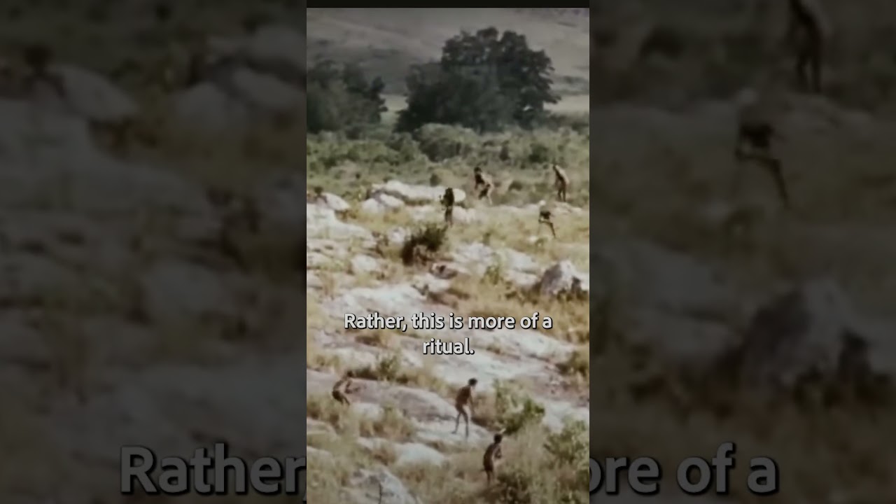This is What Tribal Warfare Looked Like on New Guinea