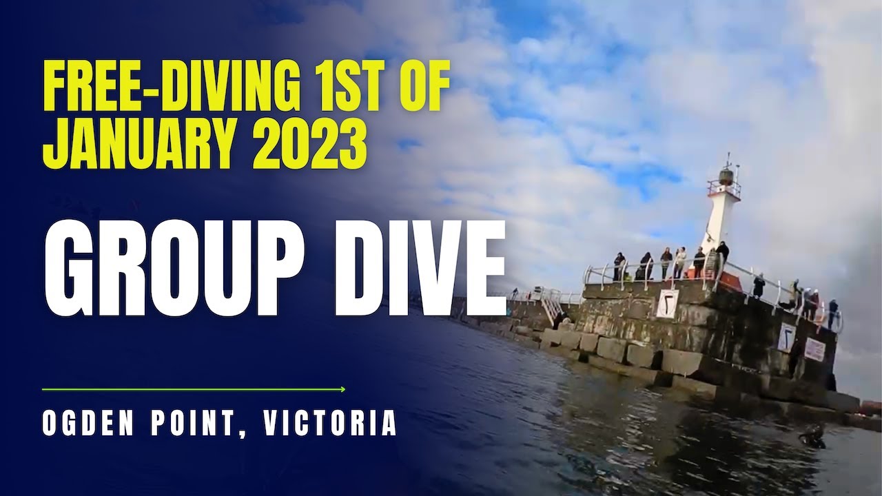 Epic New Year Free-diving at Ogden Point, Victoria BC 🌊🐟 | 19 Divers & Unforgettable Adventure!