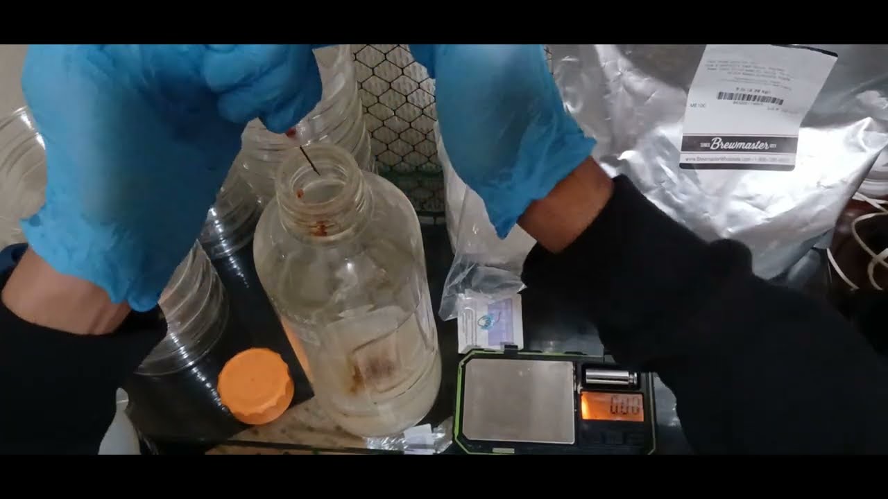 Bronx Mycology Agar Recipe | How to Make Light Malt Extract Agar (Step-by-Step)