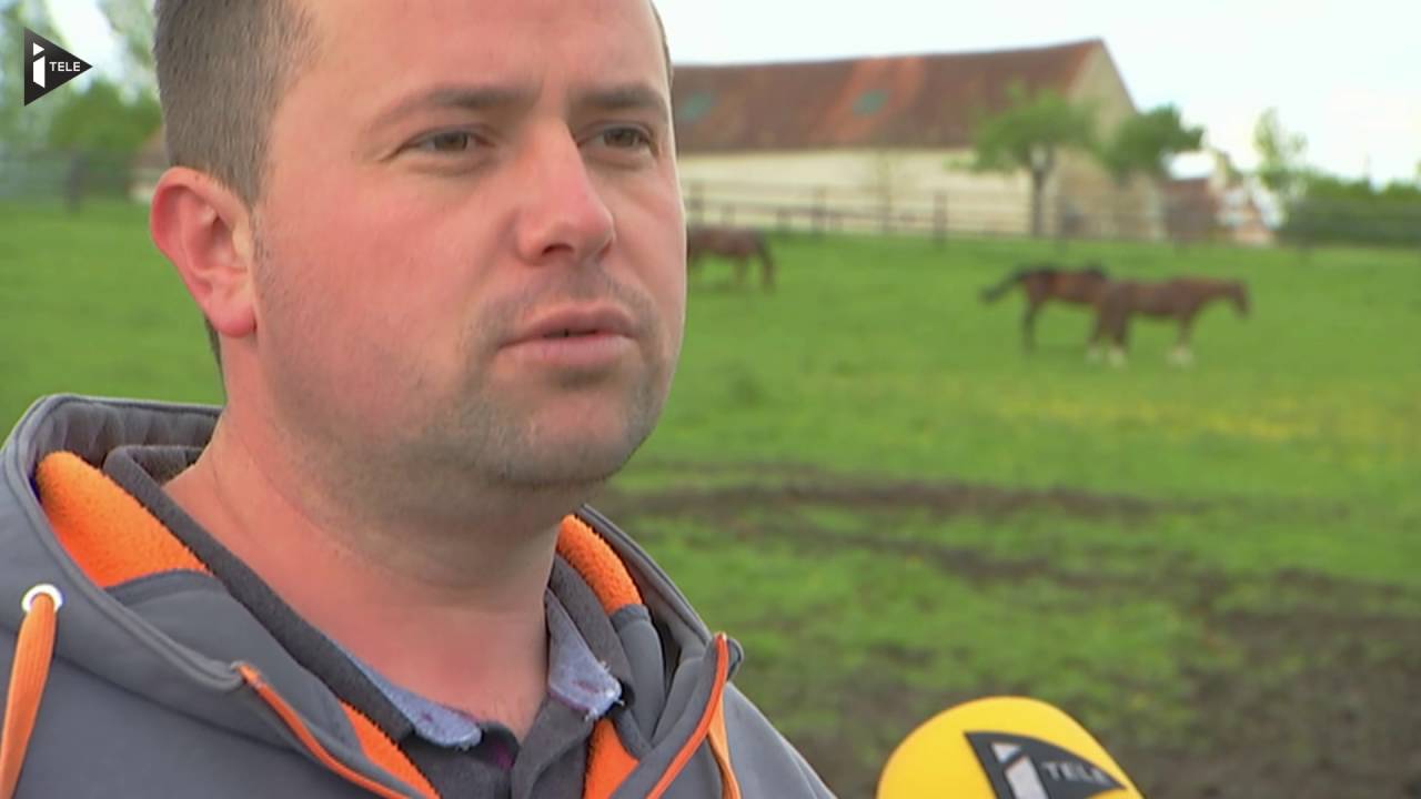 La SPA ouvre son premier refuge pour chevaux maltraités en Normandie