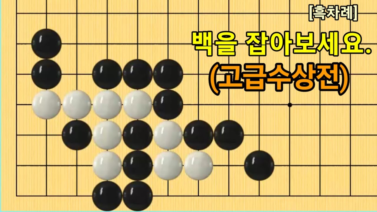 귀의 특수성