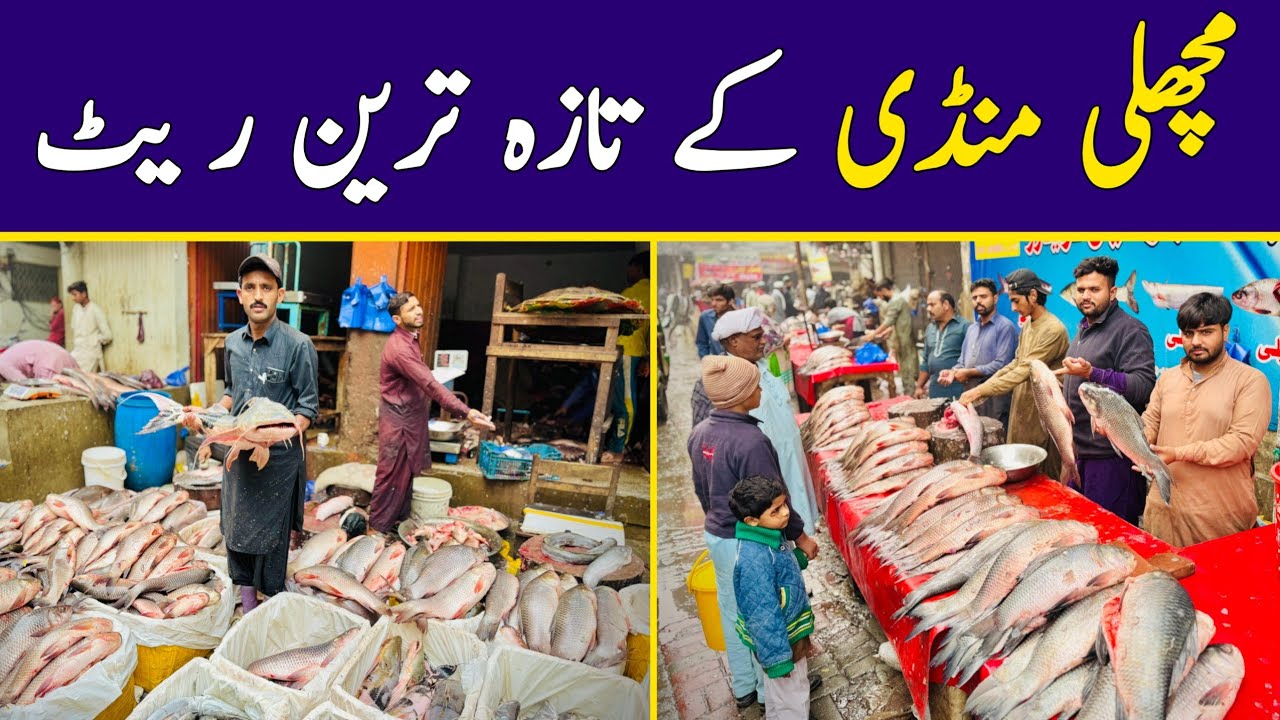 New Fish Market Lahore | Wholesale Fish Market | Machli Mandi Lahore | Hamid Ch Vlogs 