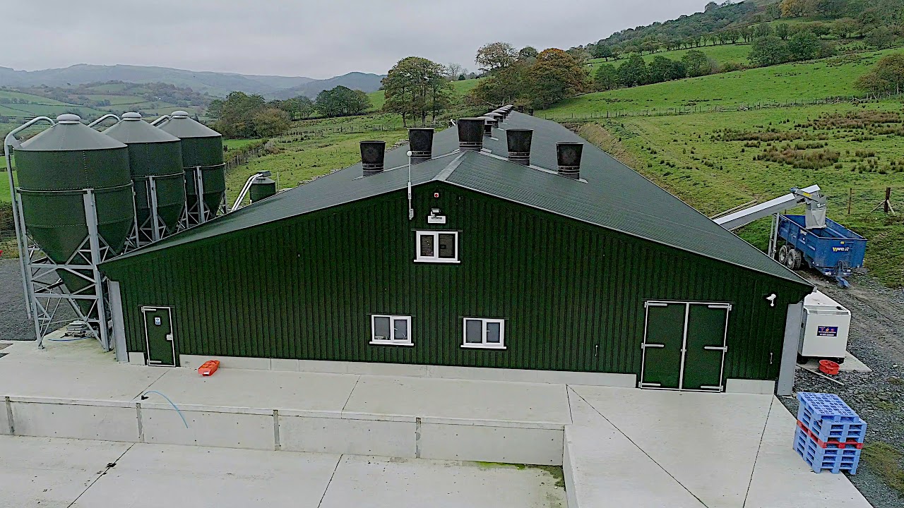 One Free Range Poultry Building in Powys designed and built by Powell & Co