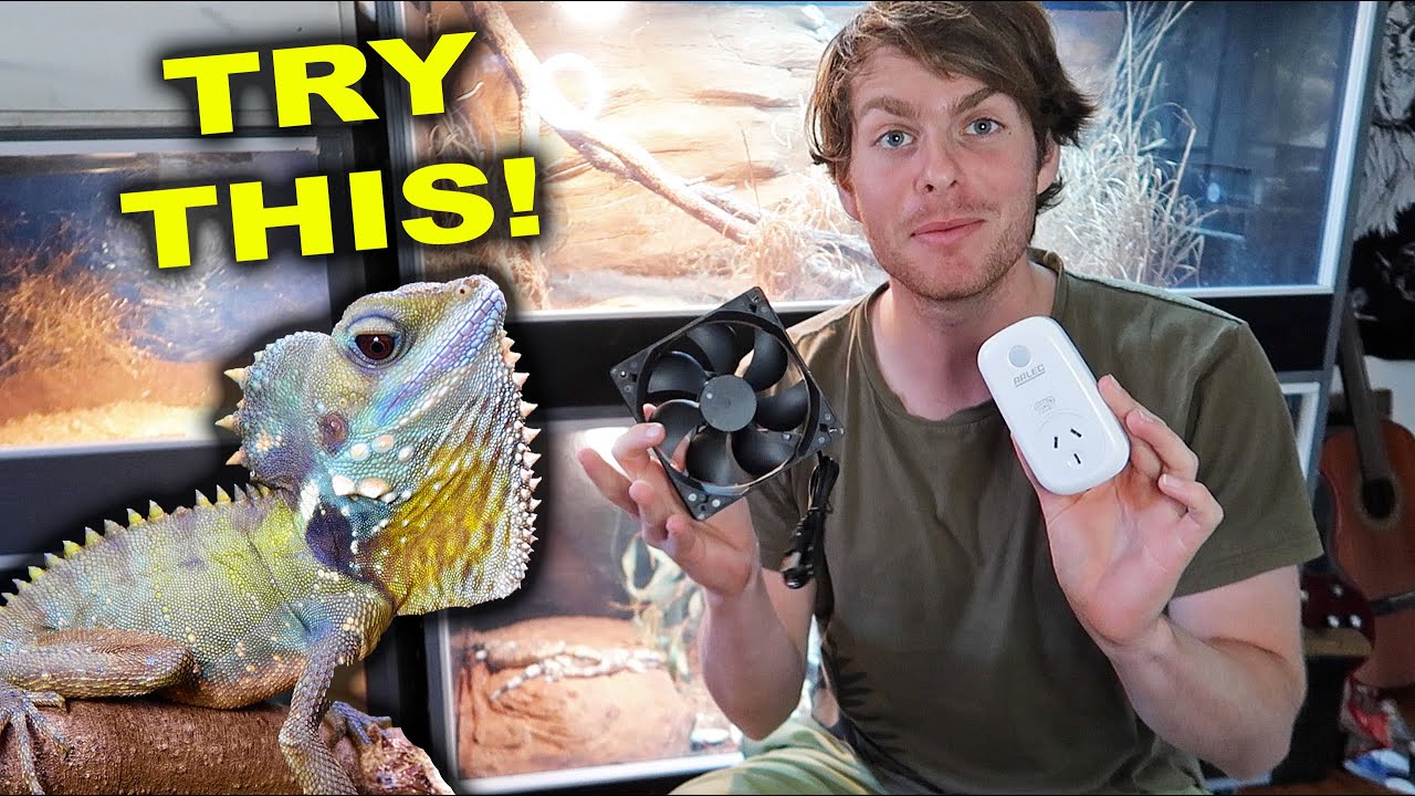 Reptile Enclosure HACKS!!