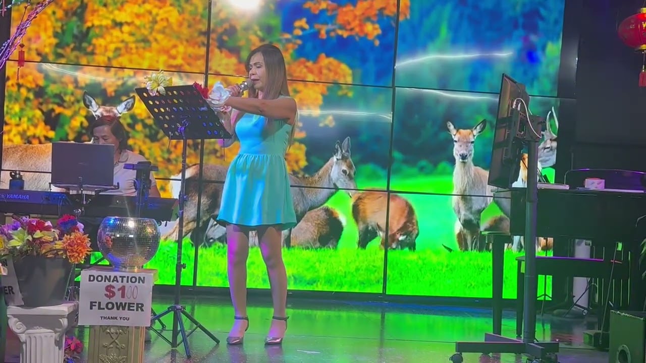 Tomber La Neige - Tuyết Rơi-Tango.