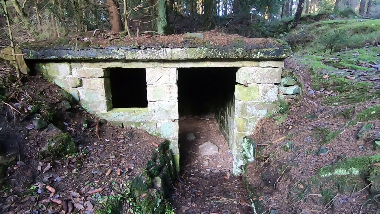Saurierspuren, Steinbr&uuml;che und mehr! Wanderung B&uuml;ckeberg Obernkirchen
