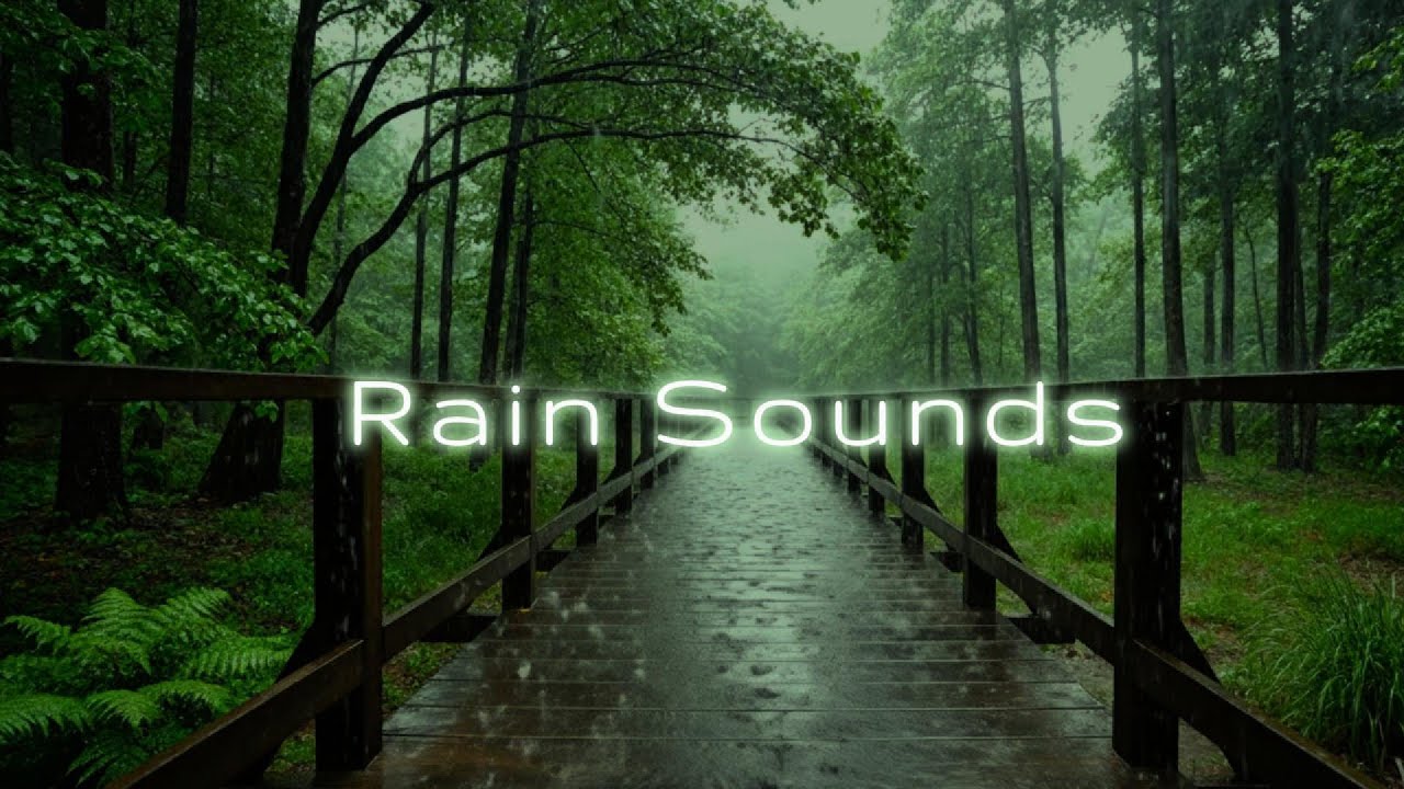 3 Hours Relaxing Rain Sounds 🌧️ Pure Forest Rain for Deep Sleep, Relaxation & Focus