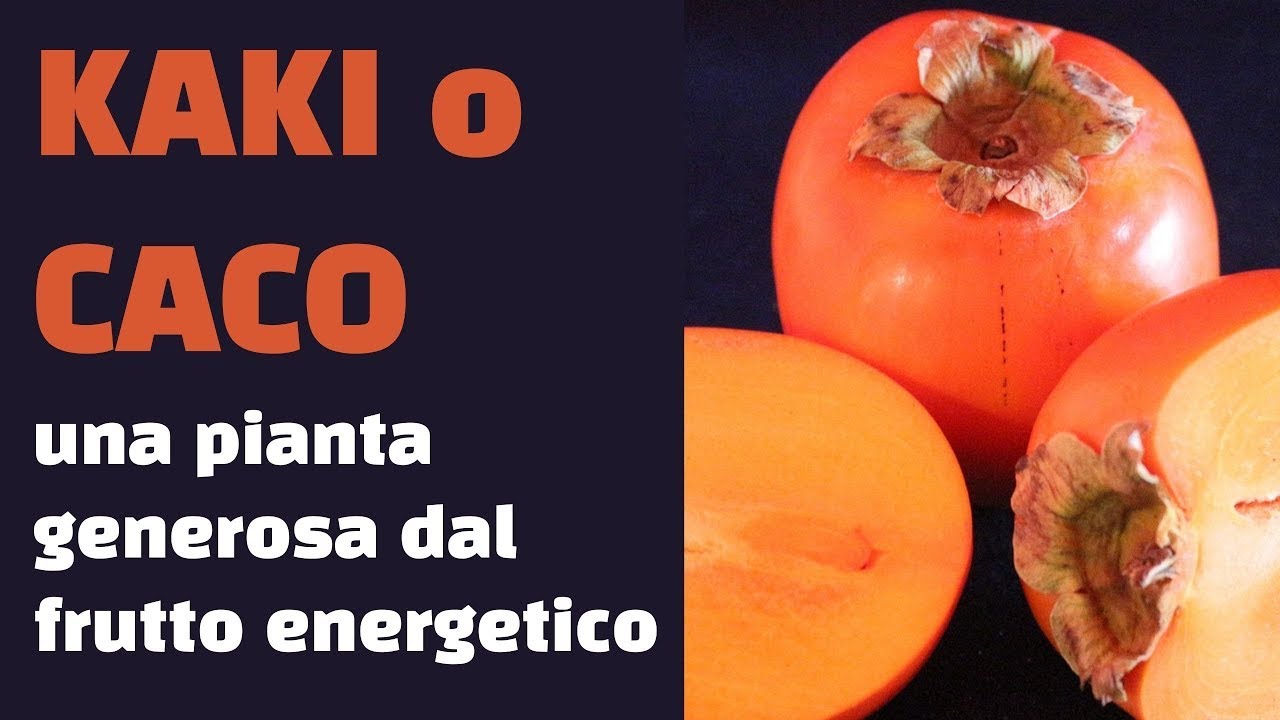 Parliamo del caco e delle grandi proprietà benefiche