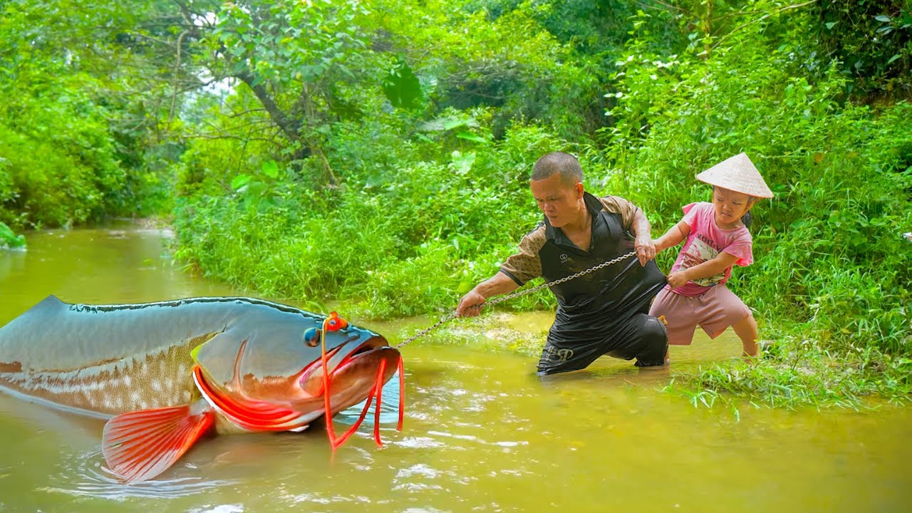 How to Catch Fish and Trap Giant Fish in the Wild - Dwarf Family Grilling Fish and Cooking Outdoors