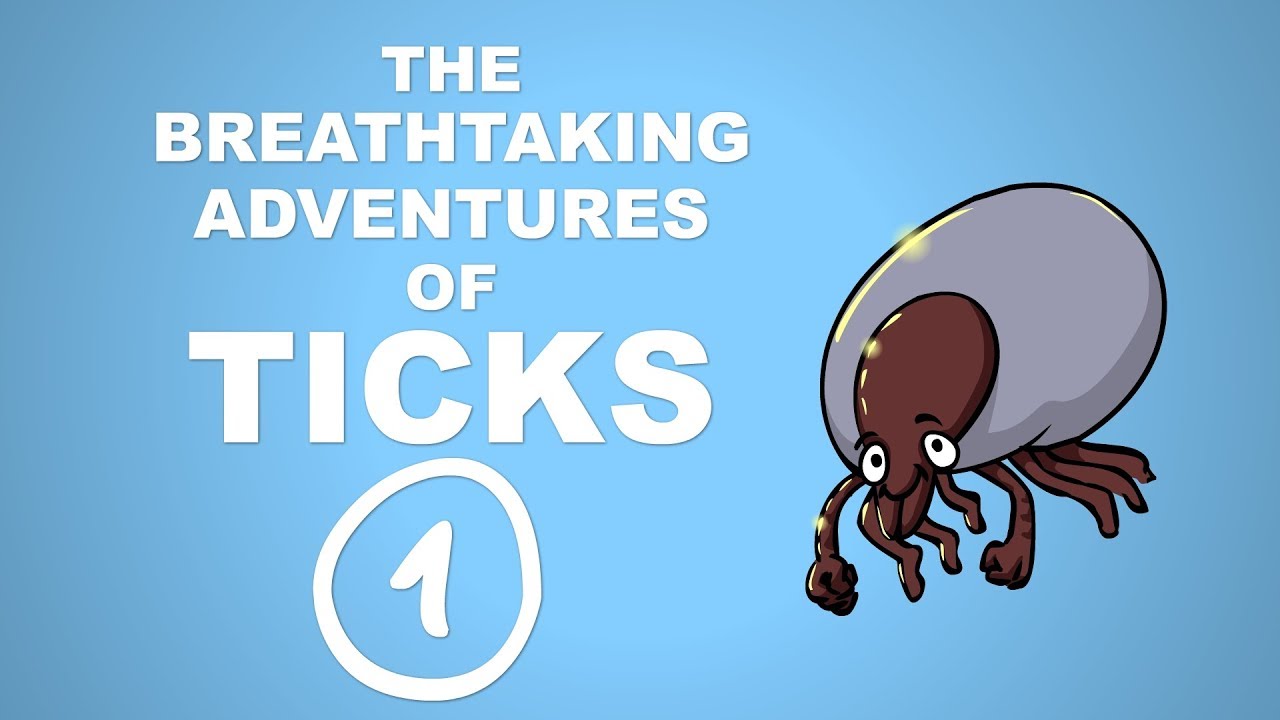 The Breathtaking Adventures of Ticks - Plain and Simple (Part 1)