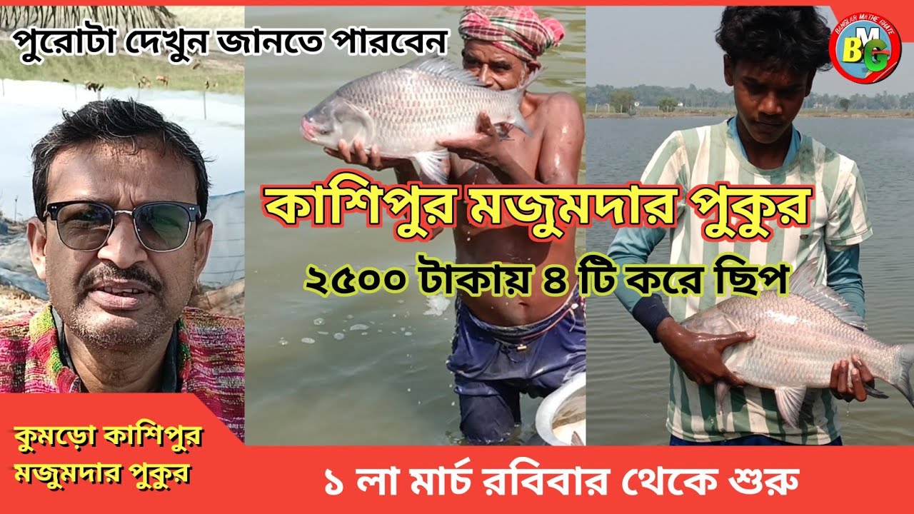 কুমড়ো কাশিপুর  মজুমদার পুকুরে মাছ ছাড়া ও পাসের বিস্তারিত |BANGLAR MATHE GHATE # fishing 