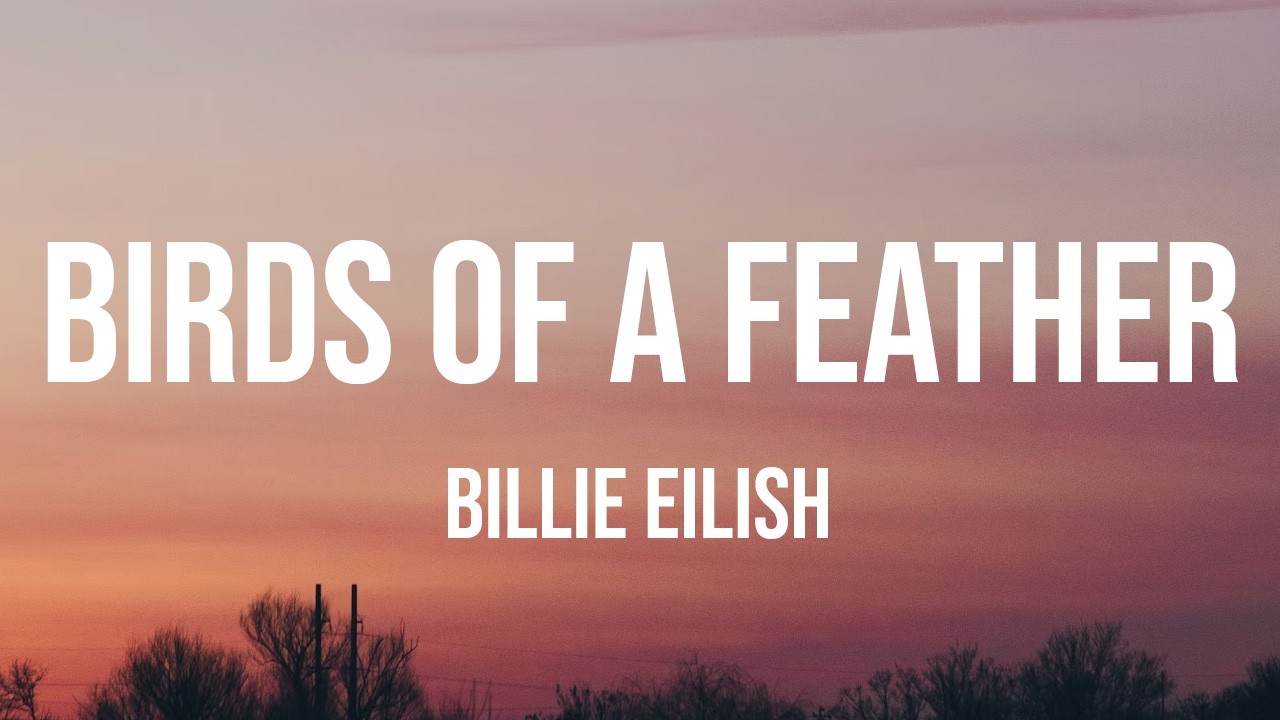 Billie Eilish - BIRDS OF A FEATHER (Lyrics)