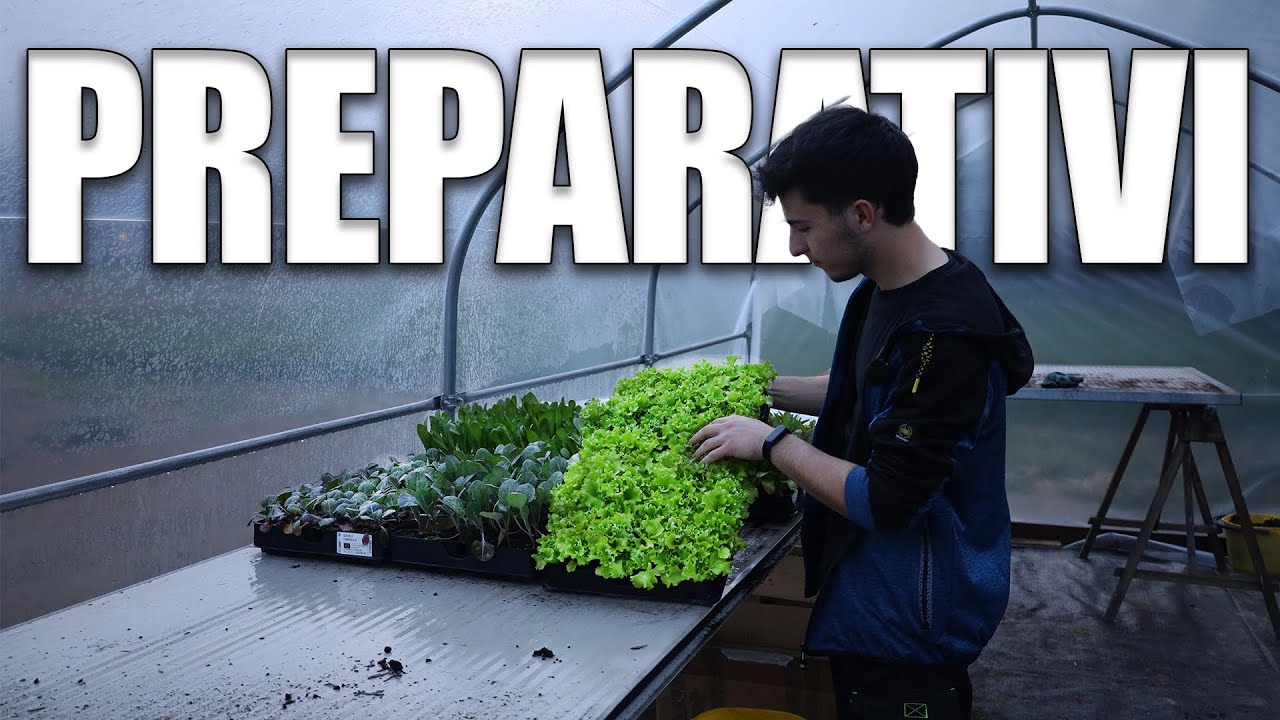 Preparo il TERRICCIO per il SEMENZAIO🌱