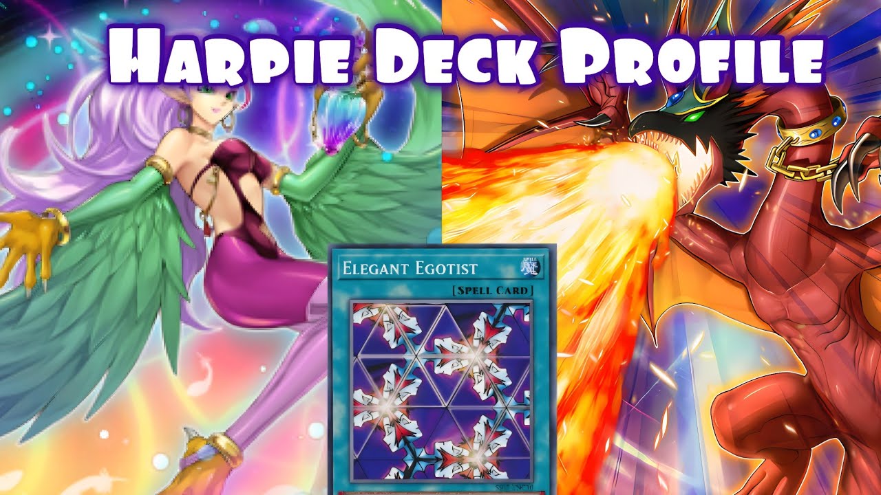 Профиль колоды Yu-Gi-Oh Harpie 2025