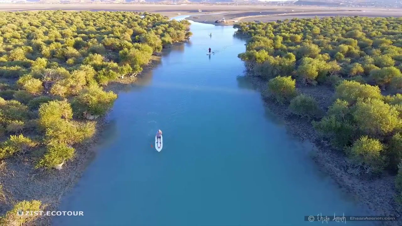 Qeshm Island Mangrove Forests