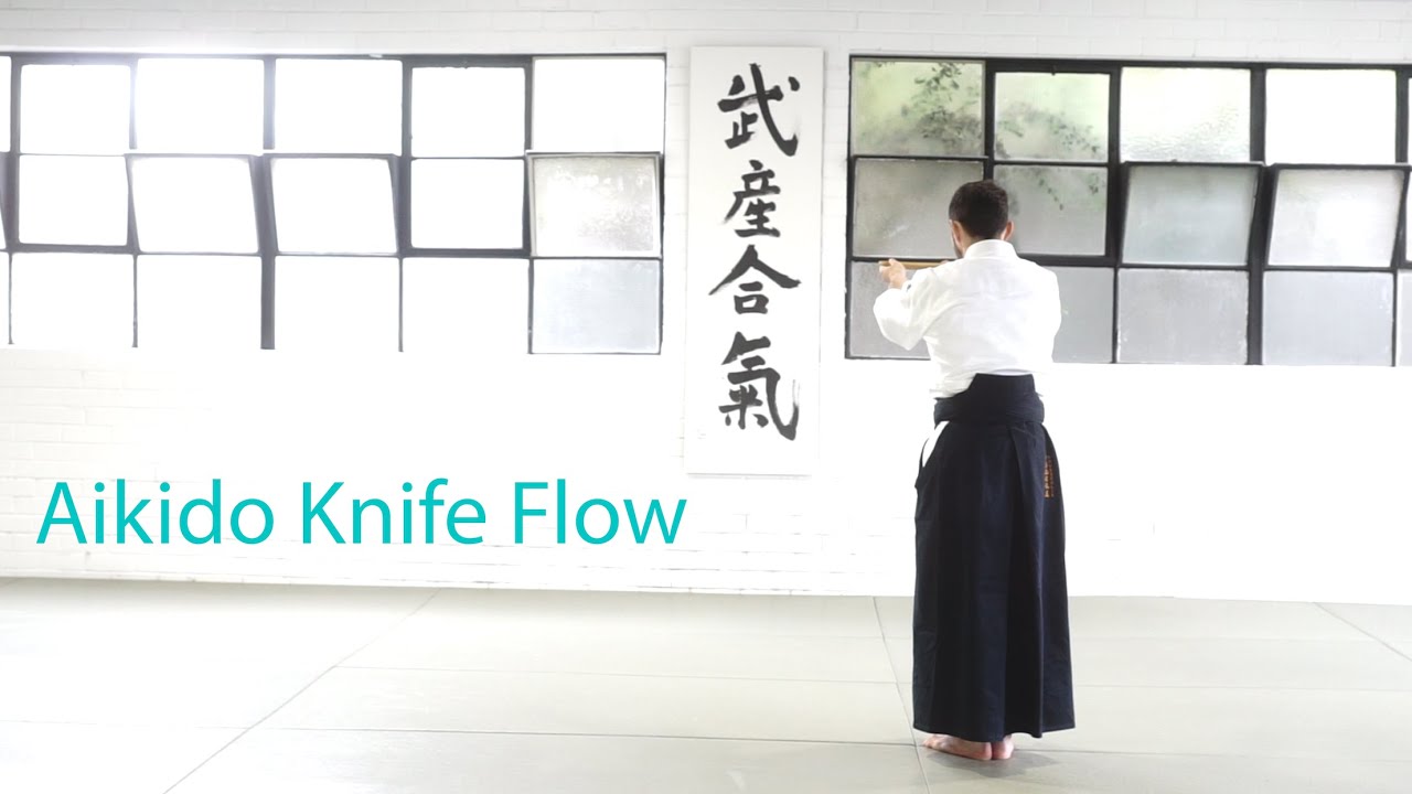 Aiki Tanto | A preview of our upcoming Aikido knife flow series