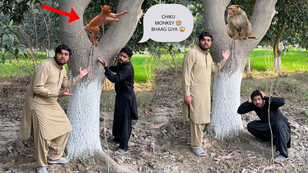 Chiku bhaag giya 😱