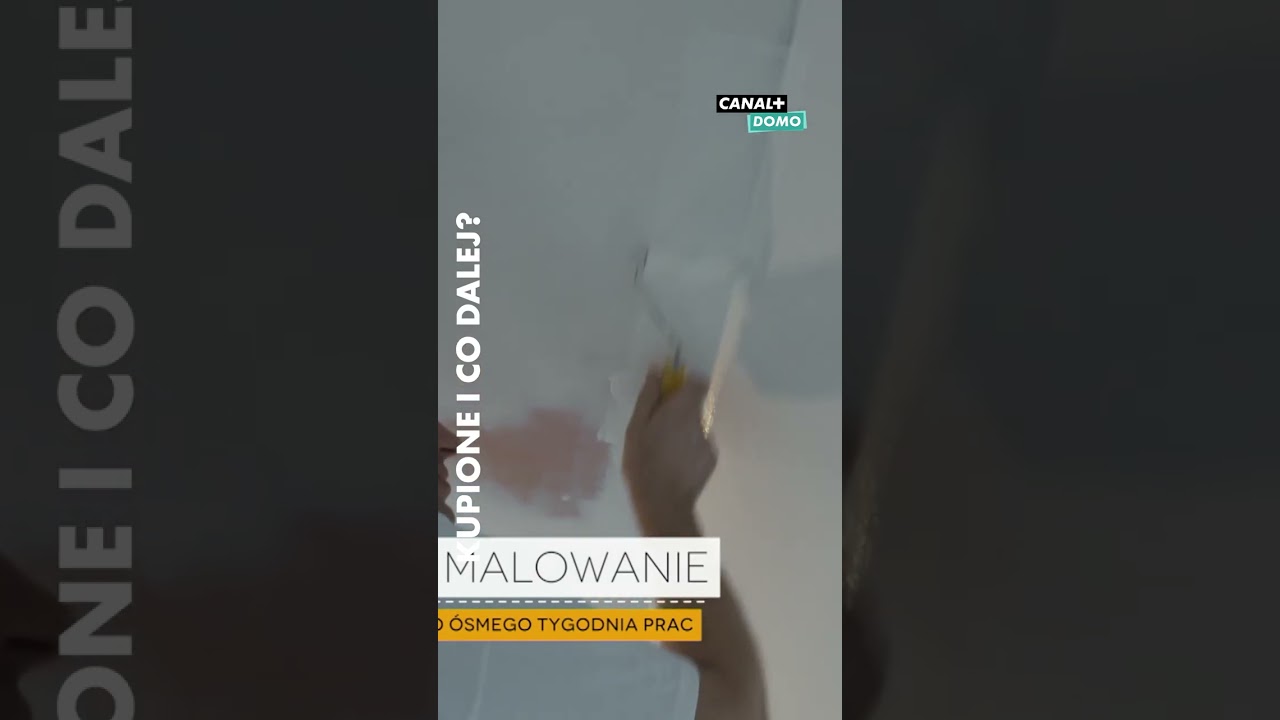 Ta farba zatrzyma ciepło w domu | Kupione i co dalej? | Oglądaj w CANAL+ #canalplusdomo #canalplus