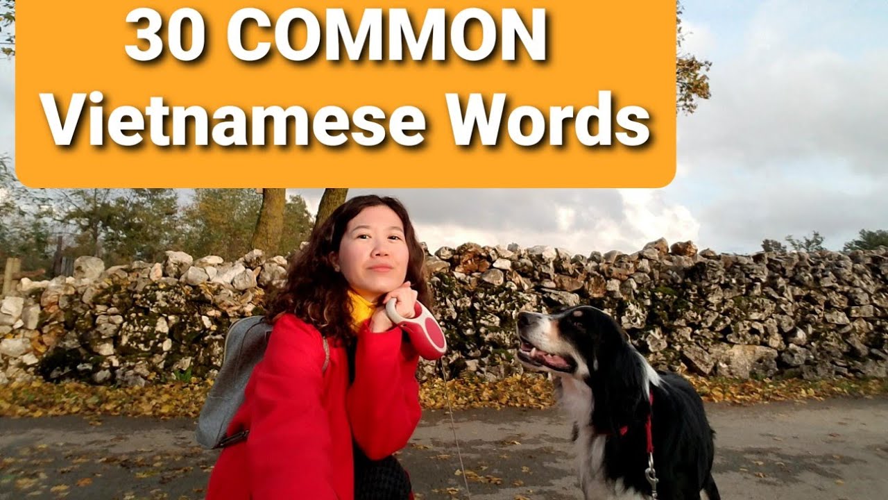 30 Common Vietnamese Words, Phrases, Sentencese #Learn Vietnamese # Easy Vietnamese #Love tiếng Việt