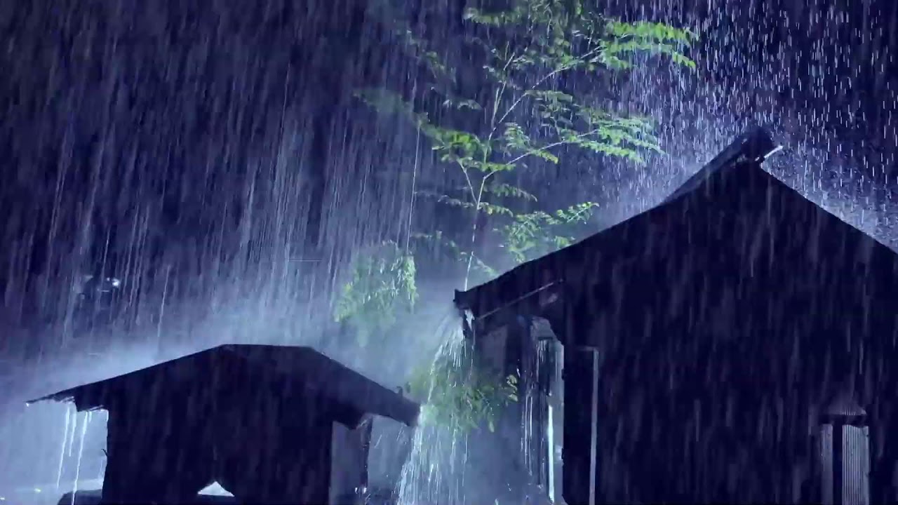 Thunder & Rain Sounds for Deep Healing Sleep