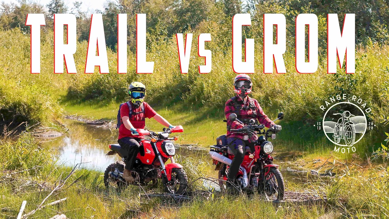 Honda GROM vs TRAIL 125 - Battle of the Mini's!