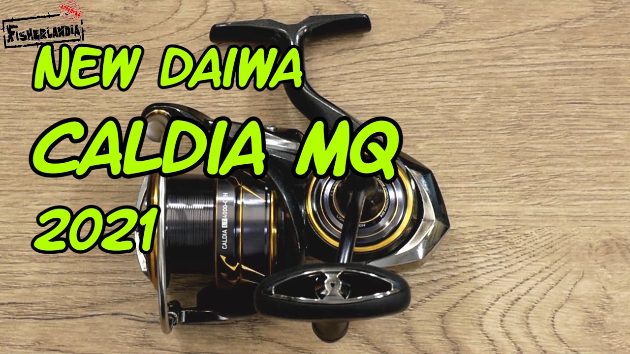 NEW DAIWA CALDIA 2021 - MONOCOQUE BODY