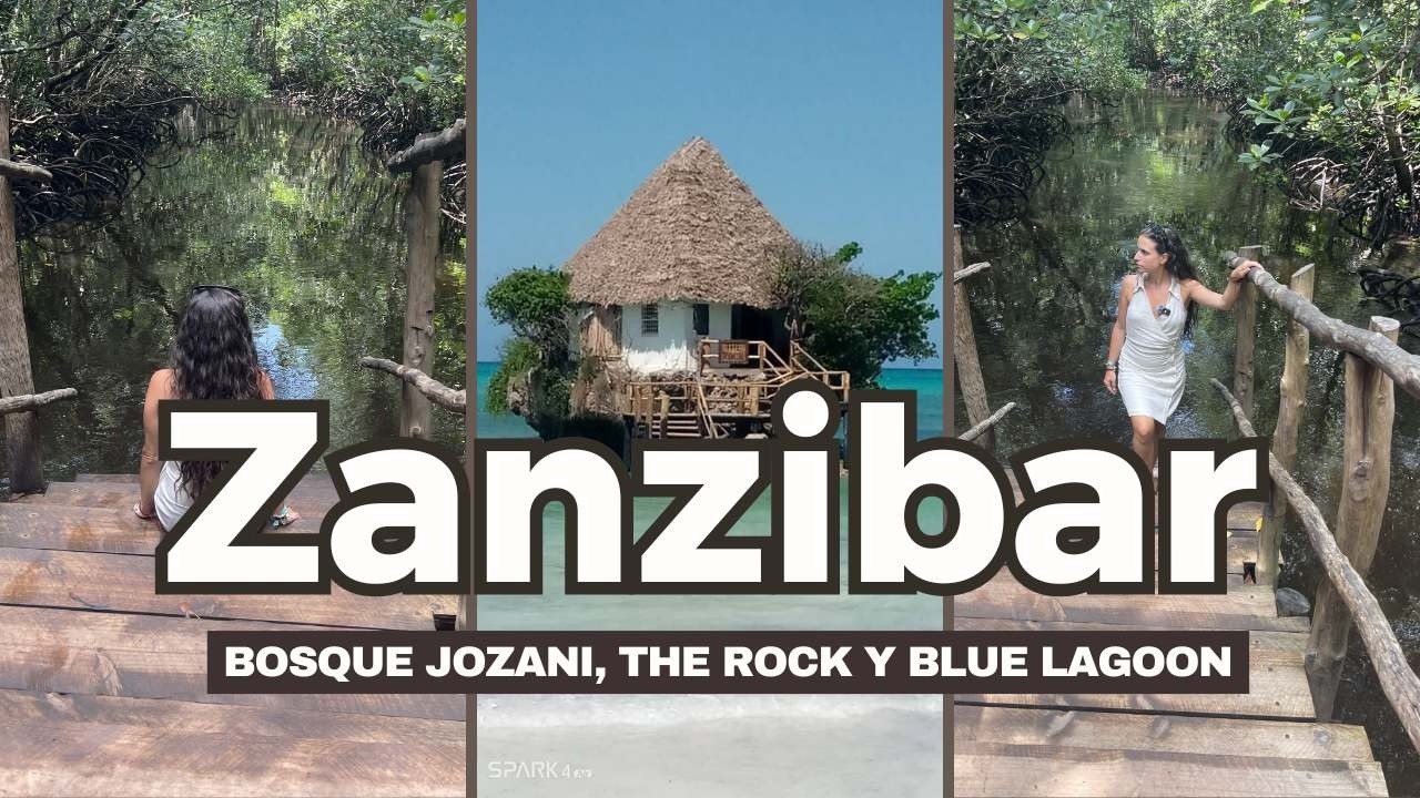 ZANZÍBAR: El PARAÍSO que NO te imaginas 😱🌴 (Jozani, The Rock y Blue Lagoon)