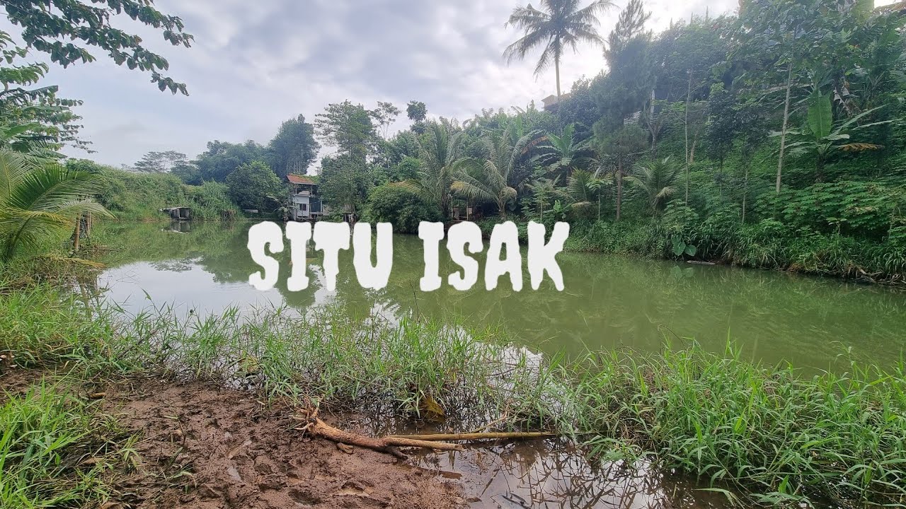 Kali ini kita nyoba najur ikan gabus 