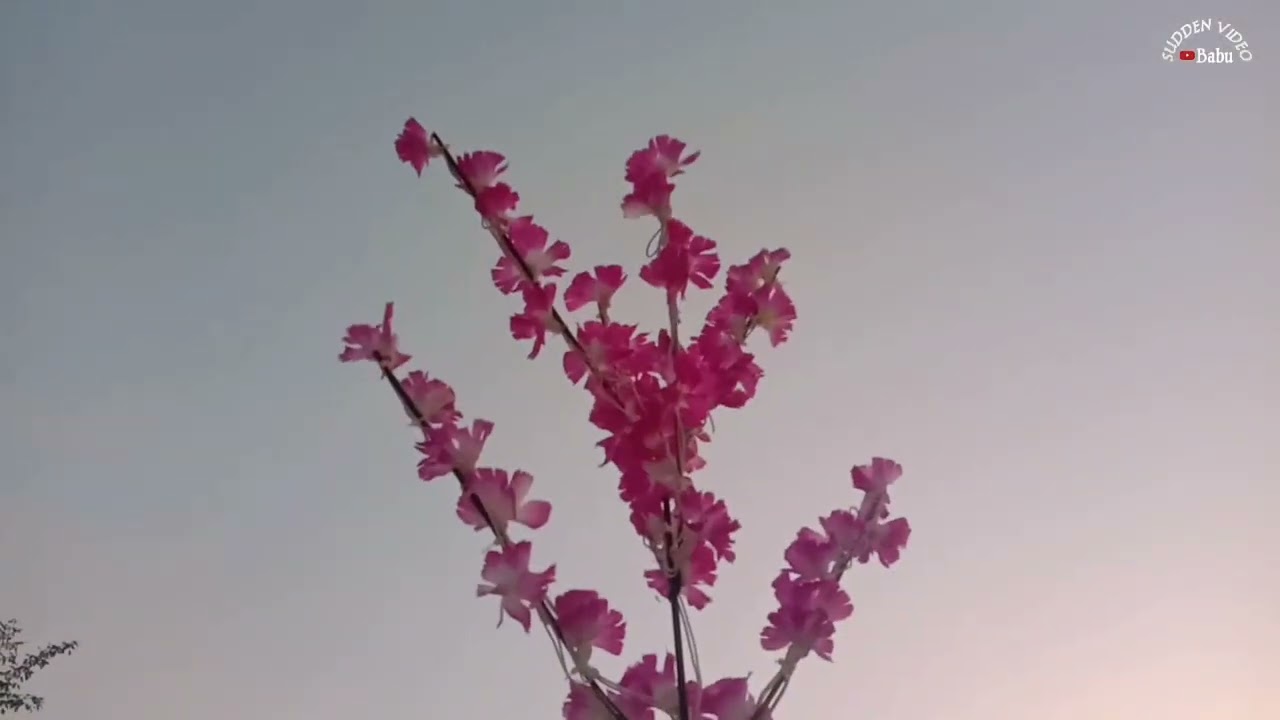 Artificial flower plant decoration with 12 volt SMD lights.