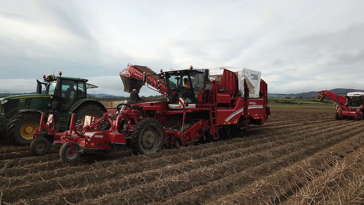 Harvesting Spuds | Harkin Bros | 3x grimme Self Propelled Harvesters