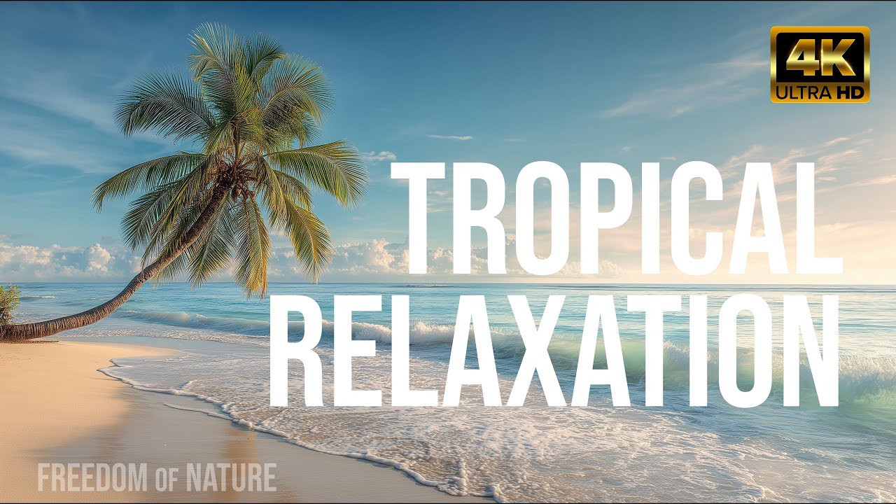 Tropical Relaxation in 4K – Swaying Palms, Clear Waters & Soothing Soundscape