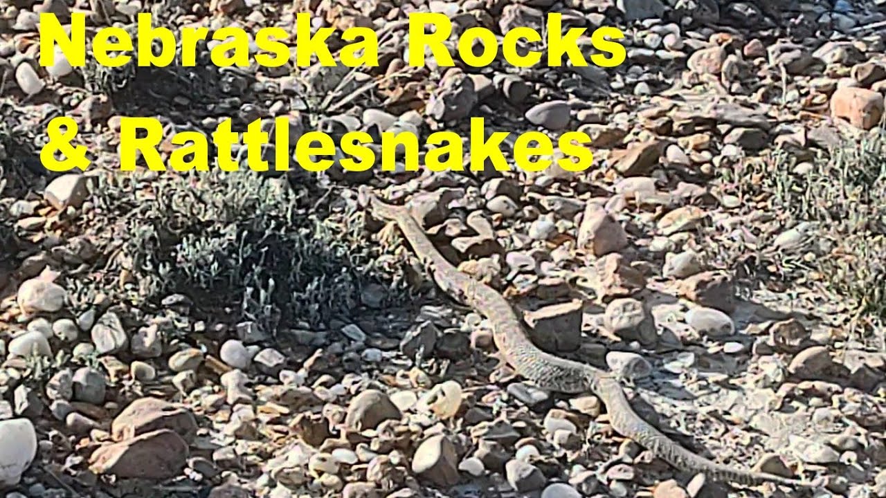 Nebraska Prairie Rockhounding: Now with rattlesnakes! #thefinders #agate #fairburn #jasper