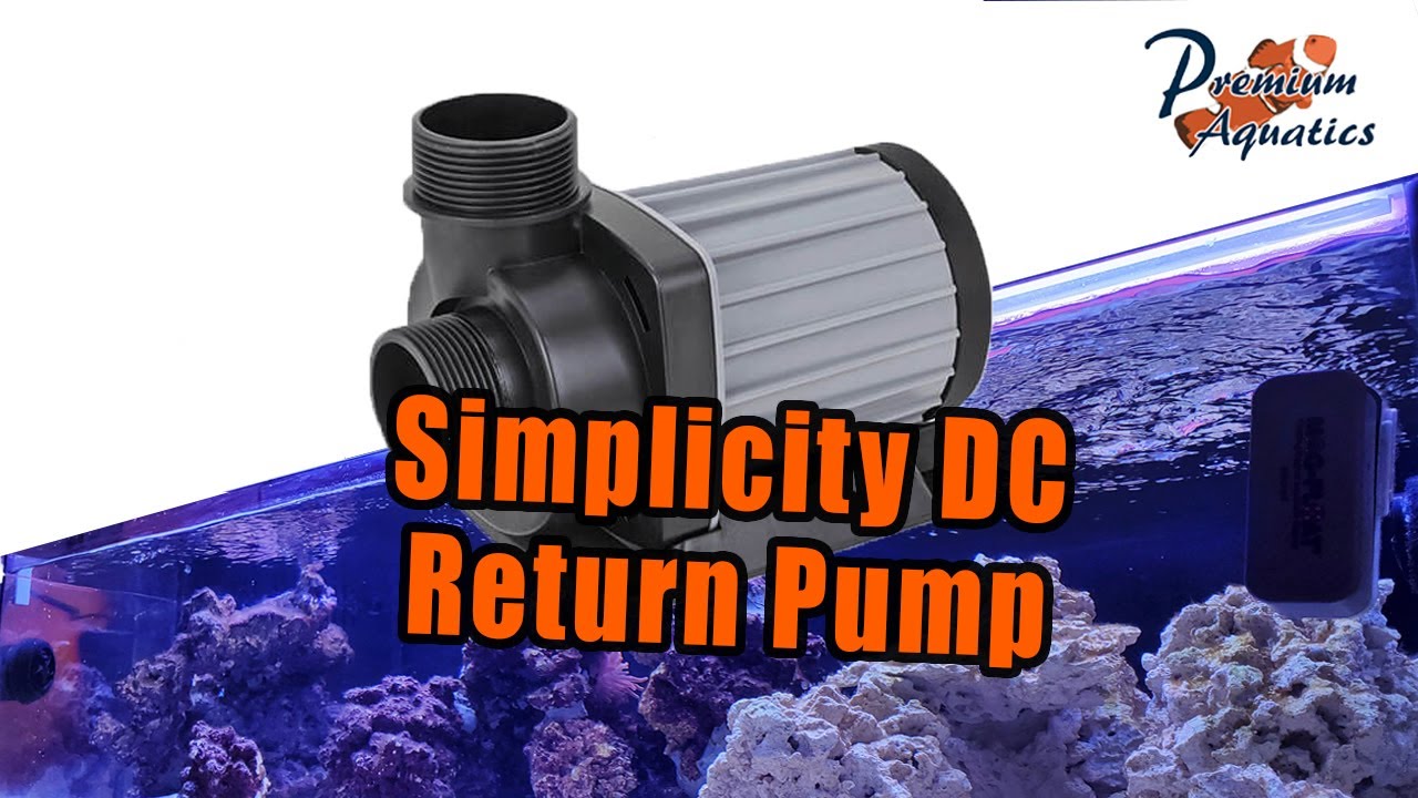 Simplicity DC 1000 Return Pump