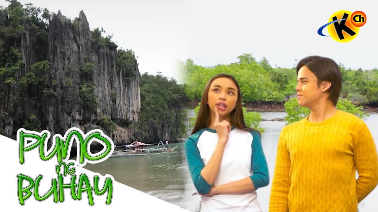 Types and Importance of Estuaries | Puno ng Buhay