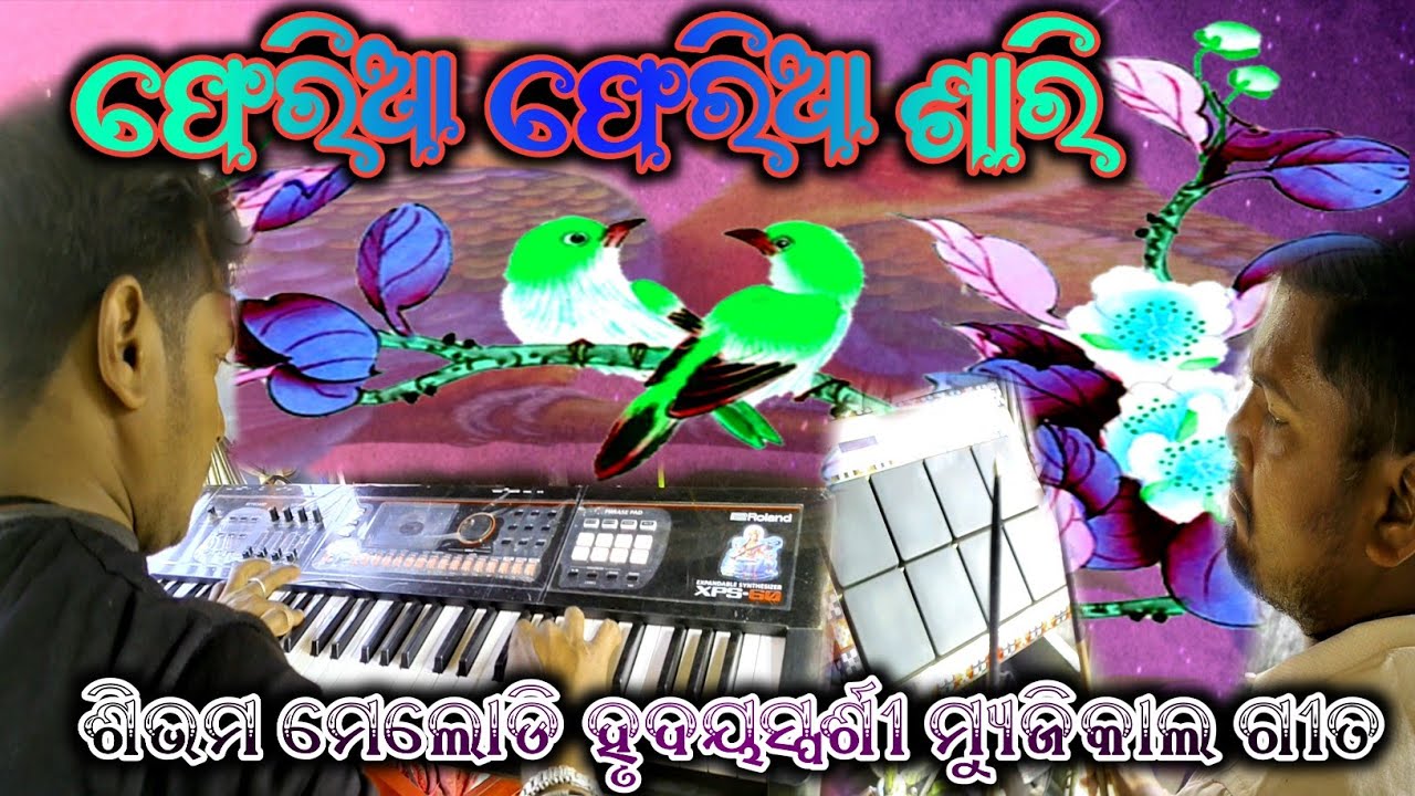 Feria Feria Sari/ Shivam Melody/ Human Sagar Hit Song/ Cont-7684937268/8658292779