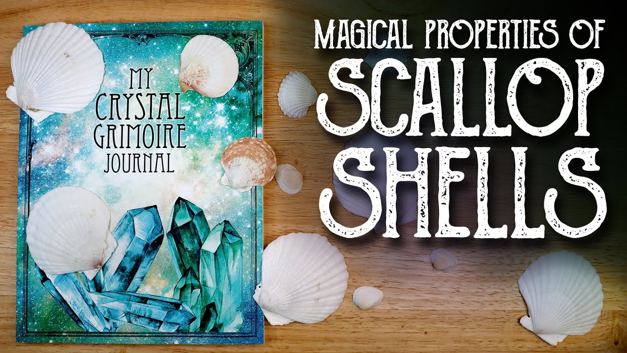 Look Inside My Crystal Grimoire Journal, Scallop Shell Book of Shadows Page - Magical Crafting Books