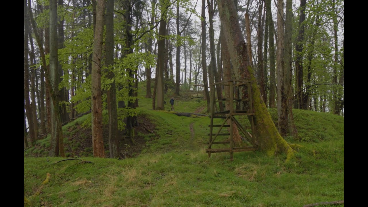 Die Burgruine Waldau