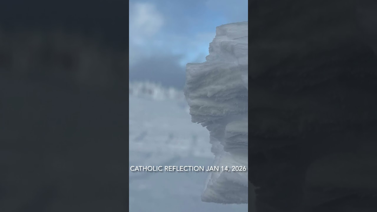 Catholic Daily Reflection 