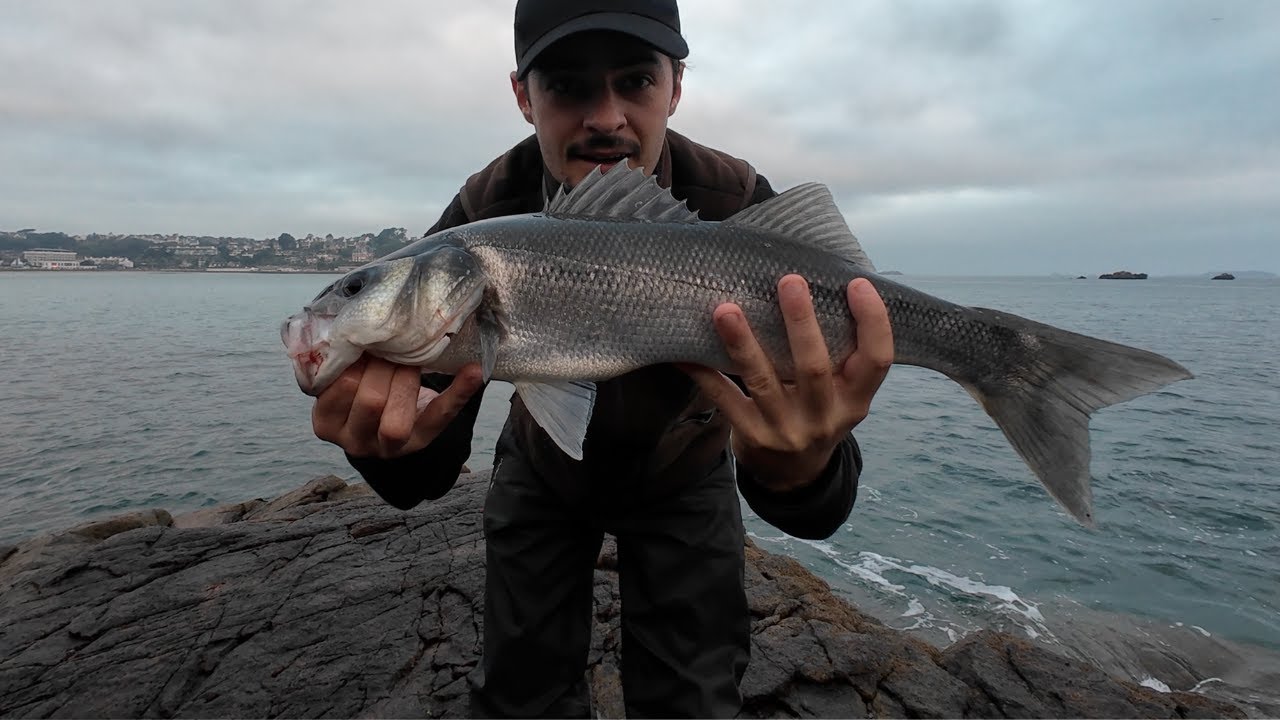 Enfin un beau poisson du bord ! 🎣 | P&ecirc;che du bar au leurre de surface