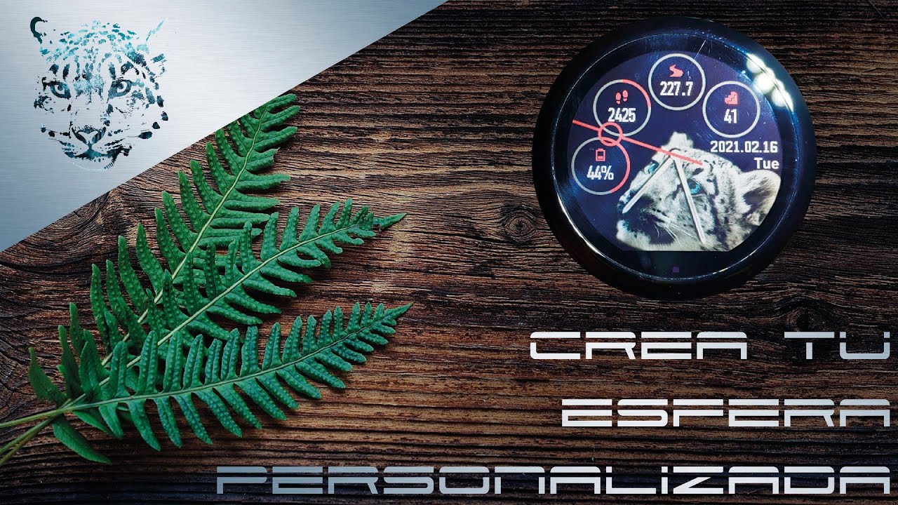 Crea tu Watchface personalizado para Amazfit (Pace/Stratos/Verge)
