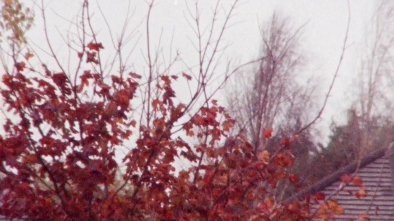 Red - Kodak Vision 3 200t