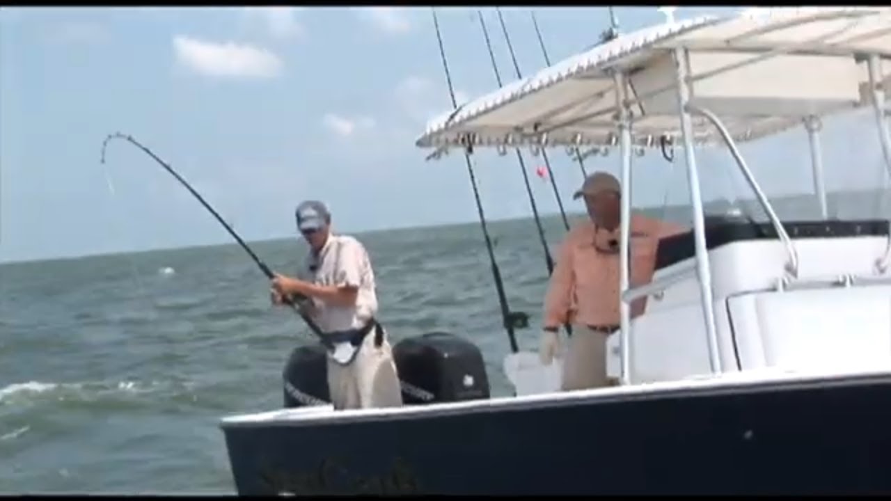 Georgia Tarpon are lit up with Captain Mark Noble off Jekyll Island Georgia