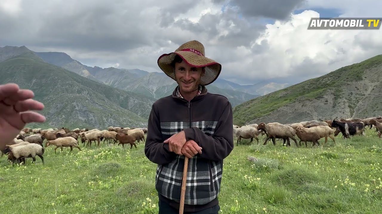 Çobanın Səsi Hərkəsi Heyran Buraxdı - Yaylaqda Bir Gün