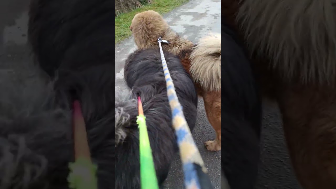 Suite de l'entraînement début en paire 1er jour 
