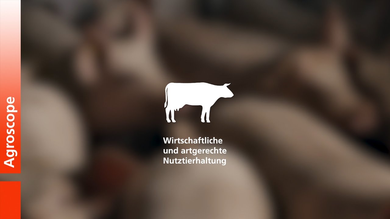 Wirtschaftliche und artgerechte Nutztierhaltung
