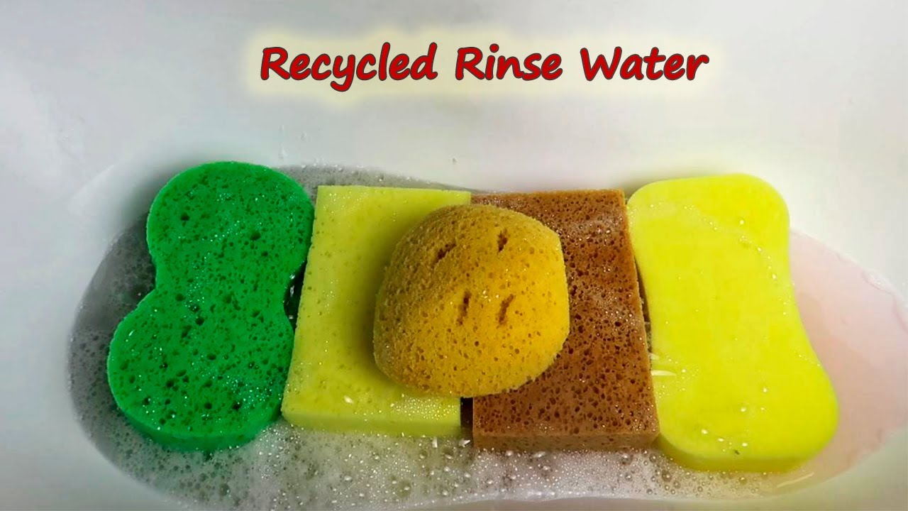Recycled Rinse Water | ASMR Sponge Squeezing | Soapy Sponge Sounds
