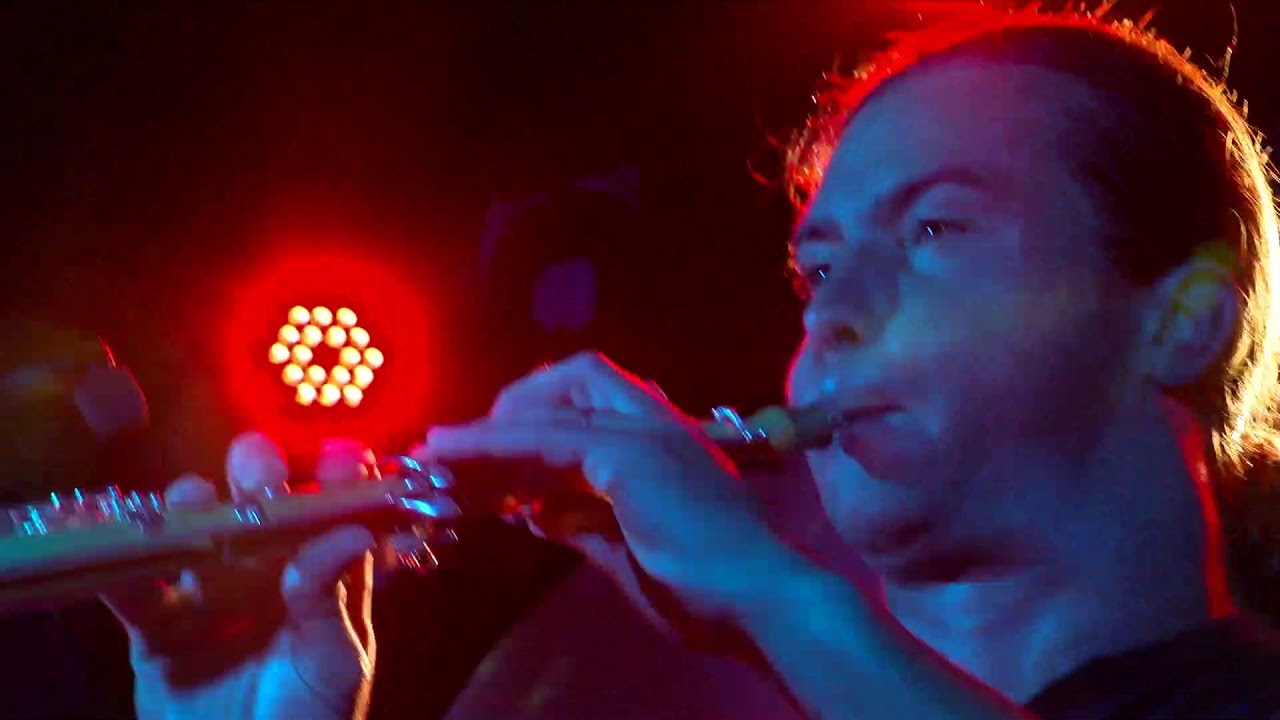 PLANTEC LIVE AU PARQUET DE BAL