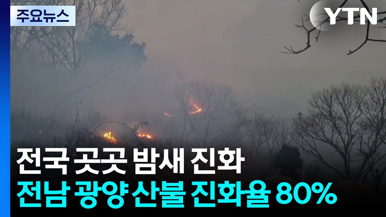 전국 곳곳 밤새 진화...전남 광양 산불 진화율 80% / YTN