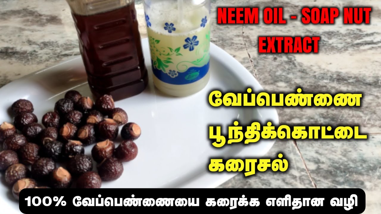 வேப்பெண்ணை பூந்திக்கொட்டை கரைசல் | வேப்பெண்ணை கரையவே மாட்டேங்குதா? இதை முயற்சி பண்ணி பாருங்க !!!