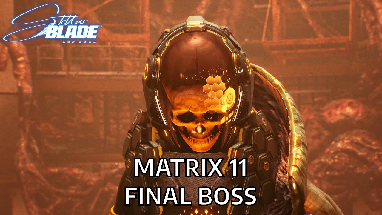 Matrix 11 Final Boss (No Damage Hard Difficulty) - Stellar Blade